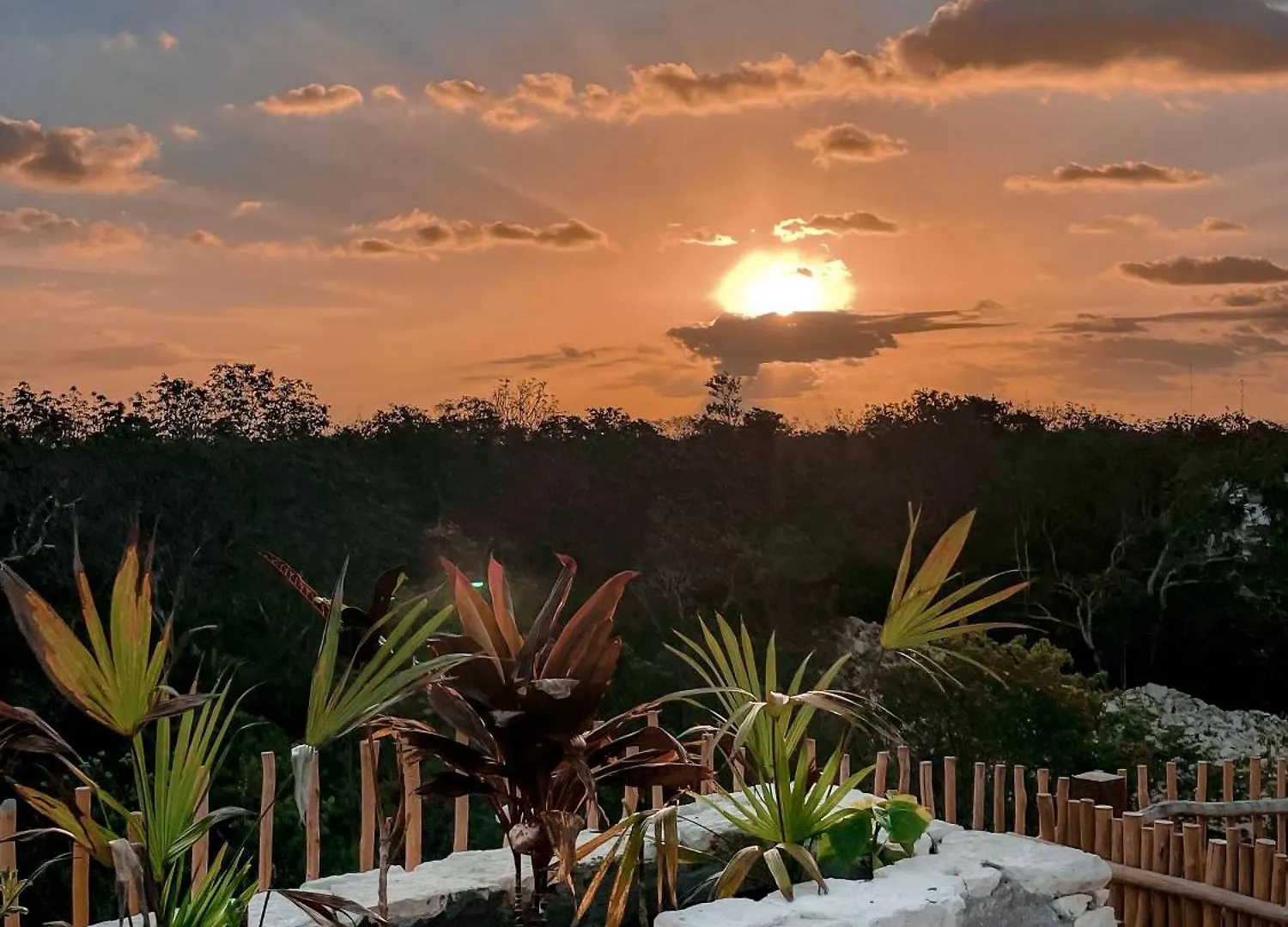 Apartment Jungle Boho Designer Apart 11 W50 Off Access Hotel Bardo Tulum Mexico